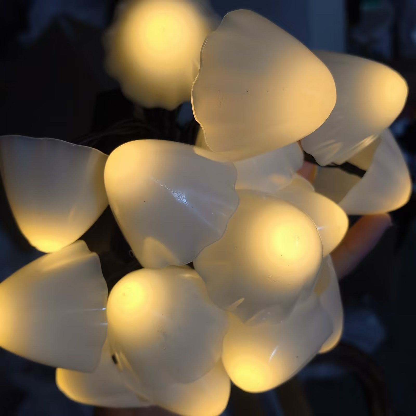 d362d382363d5f110411d2891934c66f